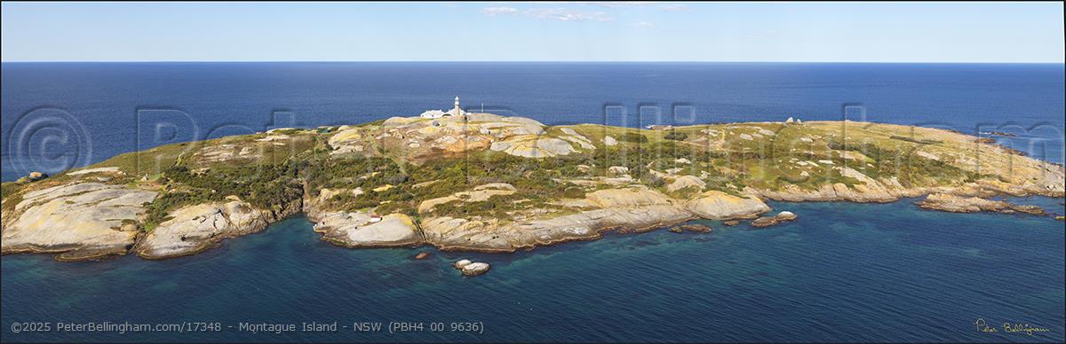Peter Bellingham Photography Montague Island - NSW (PBH4 00 9636)